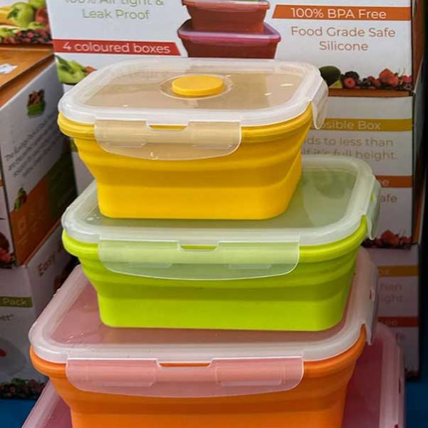 Collapsible Containers Set of 4